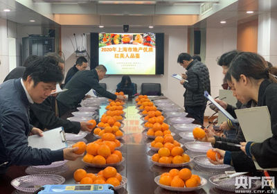 前衛柑桔榮獲“2020年上海市地產優質紅美人品鑒”金獎 技術賦能成就卓越品質